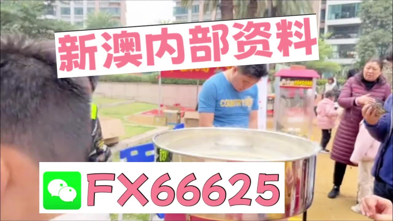 新奧2025資料大全最新版本，全面解析與深度洞察，新奧2025資料大全最新版，全面解析與深度洞察報告