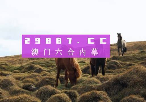 今晚澳門(mén)9點(diǎn)35分的彩票開(kāi)獎(jiǎng)，期待與驚喜交織的時(shí)刻，澳門(mén)今晚9點(diǎn)35分彩票開(kāi)獎(jiǎng)，期待與驚喜交匯的時(shí)刻
