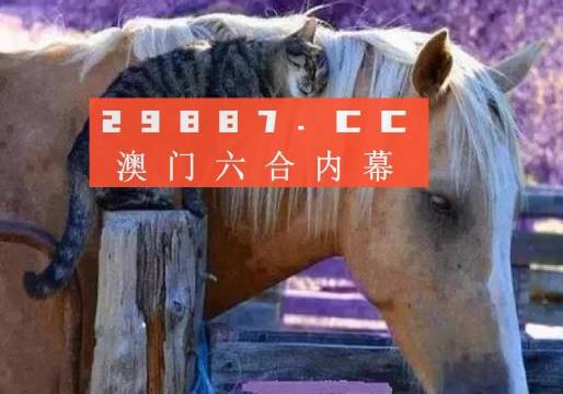 澳門(mén)一肖一碼一待一中四不像，探索與解析，澳門(mén)一肖一碼一待一中四不像，深度解析與探索