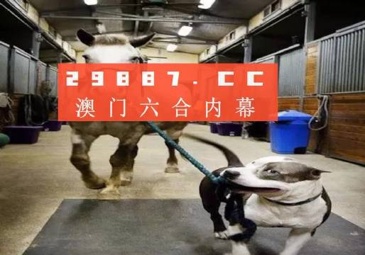 澳門一肖一碼一必中一肖，同舟前進的奧秘與策略，澳門一肖一碼必中策略與前進奧秘，同舟共濟的揭秘與策略