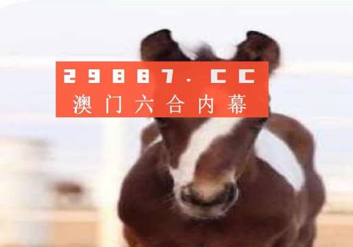 澳門一肖一碼狀元紅，揭秘彩票背后的秘密與策略，澳門彩票揭秘，狀元紅背后的秘密與策略解析
