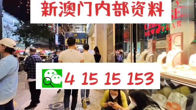 探索未來，2025新澳最新版精準(zhǔn)特色解析，探索未來，揭秘新澳最新版精準(zhǔn)特色解析（2025版）