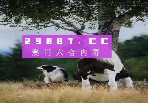 澳門天天空彩官網(wǎng)資料，探索彩票世界的門戶，澳門天天空彩官網(wǎng)資料，彩票世界探索門戶