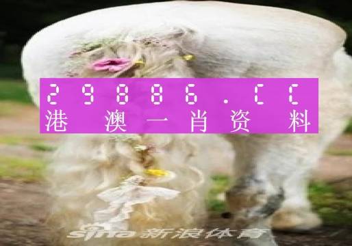 澳門(mén)羊了個(gè)羊與各大圖庫(kù)的資料揭秘，2023年澳門(mén)今晚必中一肖一碼永久免費(fèi)資料庫(kù)大解密，澳門(mén)羊了個(gè)羊與資料庫(kù)揭秘，2023年必中一肖一碼永久免費(fèi)資料大解密