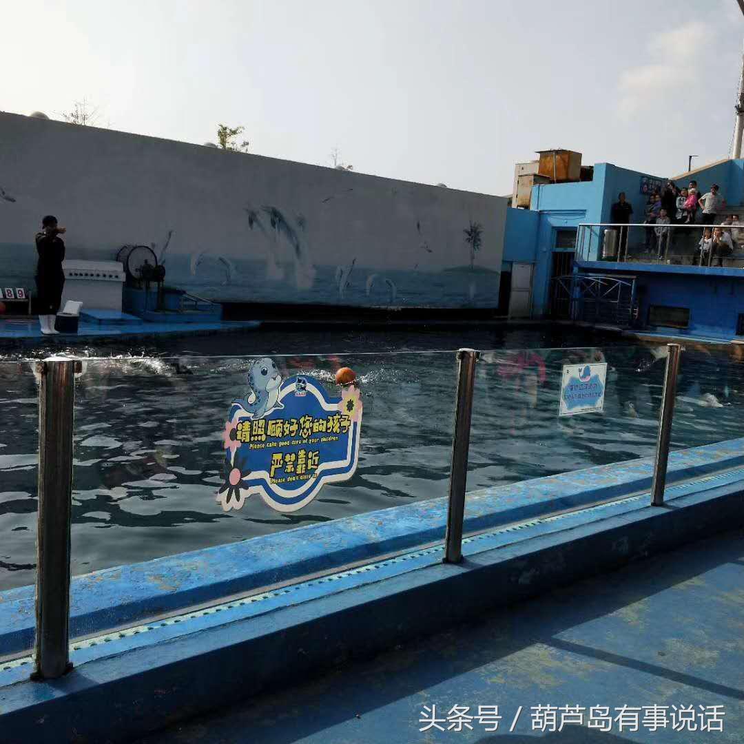 揭秘9點30分彩新澳，全方位解讀彩票新玩法，揭秘9點30分彩新澳，全方位解讀彩票新玩法攻略