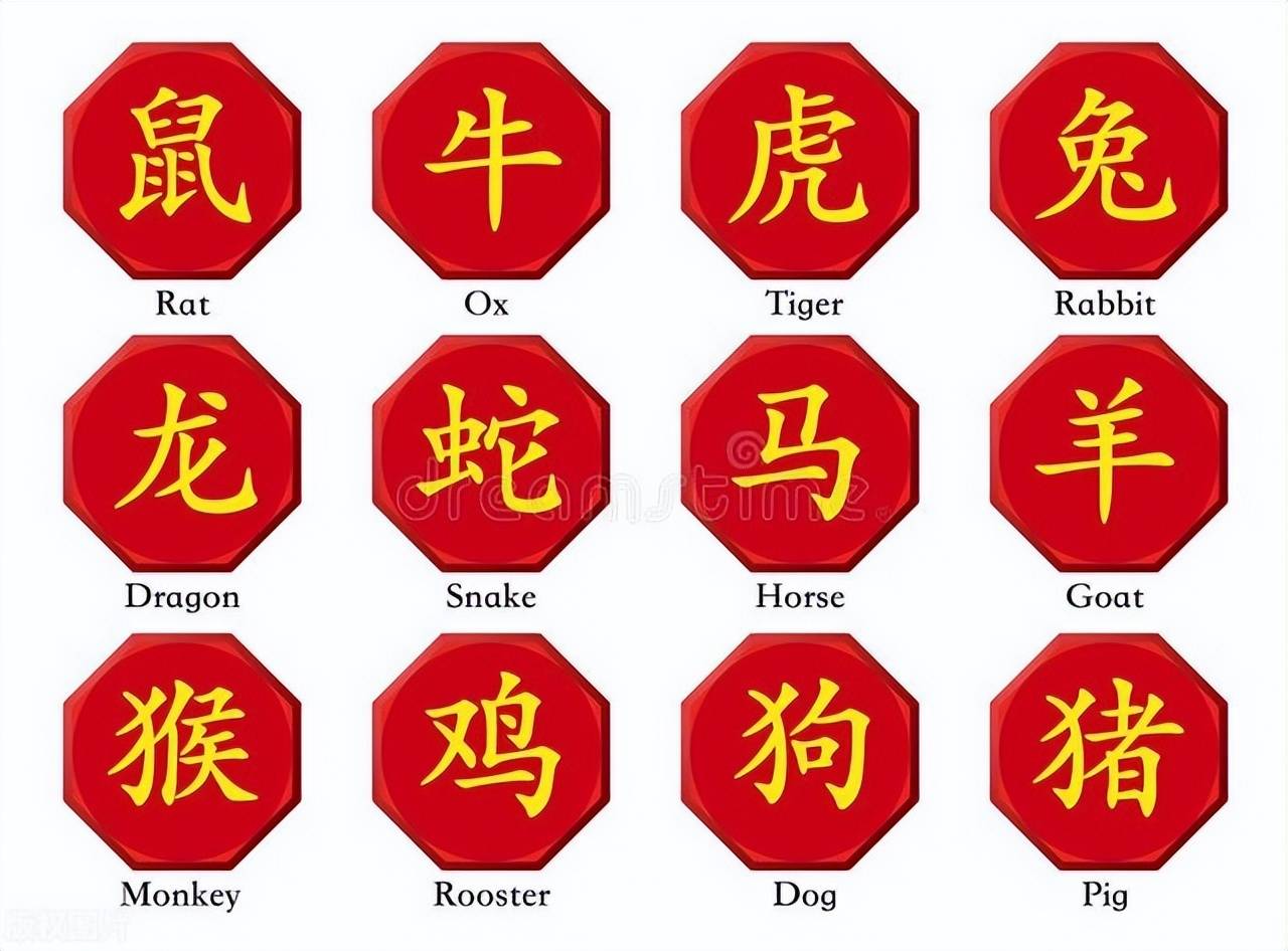 新澳特碼，羊牛虎各數(shù)10——揭秘背后的數(shù)字奧秘，揭秘新澳特碼數(shù)字奧秘，羊?；⒏鲾?shù)背后的秘密