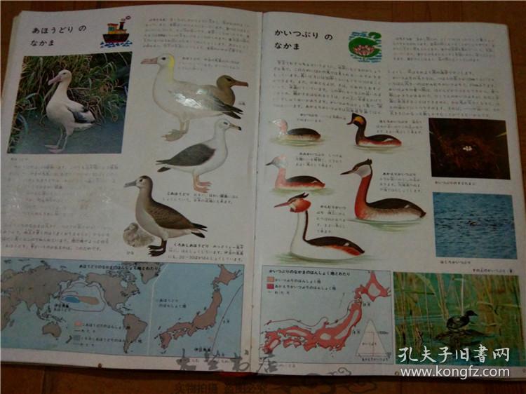 今日正版跑狗圖分享，探索7777788888跑狗圖的魅力，今日正版跑狗圖分享，探索魅力十足的777778跑狗圖