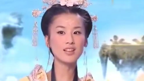 曾道道人資料免費大全，深度探索與解析，曾道道人資料深度解析與免費大全探索