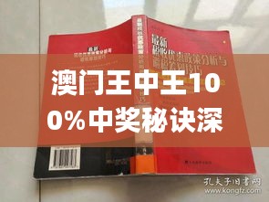 新澳門王中王期期中，探索與解析，新澳門王中王期期中，深度探索與解析