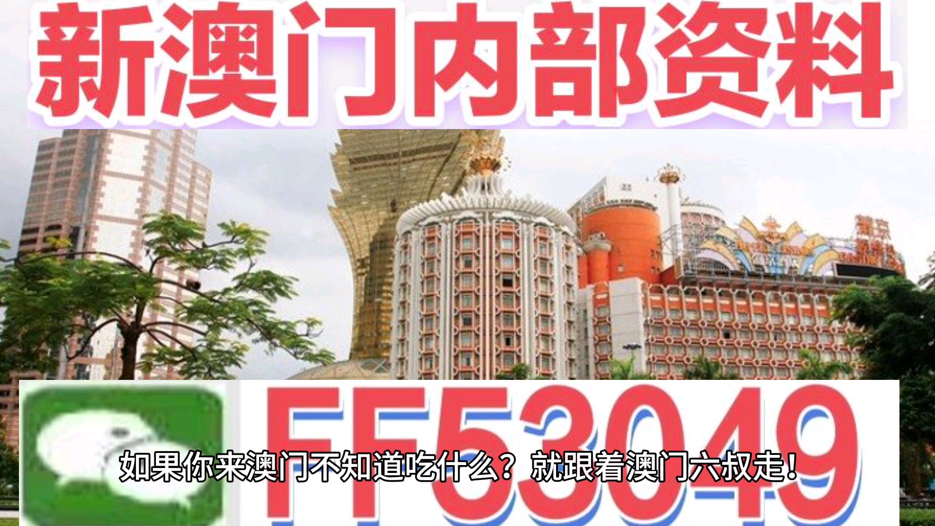 澳門(mén)今晚特馬生肖預(yù)測(cè)，探尋未來(lái)的幸運(yùn)符號(hào)（2025年），澳門(mén)生肖預(yù)測(cè)揭秘，探尋未來(lái)幸運(yùn)符號(hào)（特馬生肖預(yù)測(cè) 2025年展望）