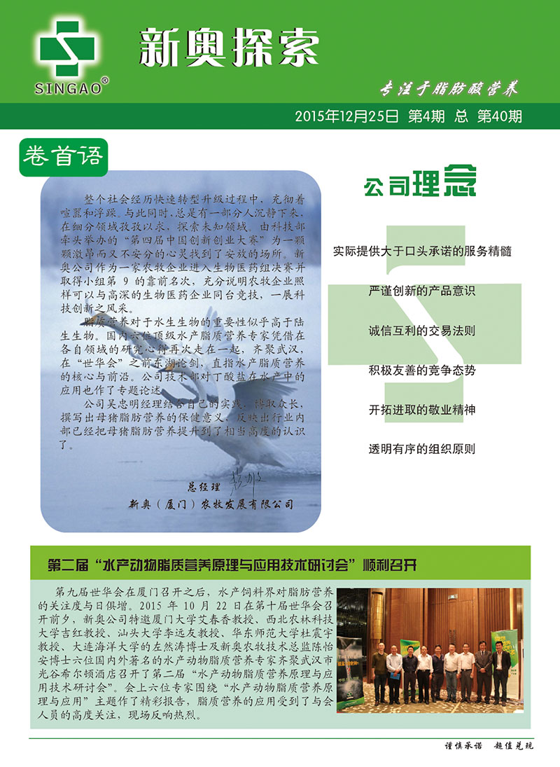 2025新澳正版資料查詢指南，2025新澳正版資料查詢手冊(cè)