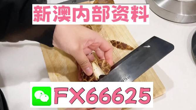 澳門九點半9點半網(wǎng)站——探索其魅力與優(yōu)勢，澳門九點半網(wǎng)站，魅力與優(yōu)勢探索
