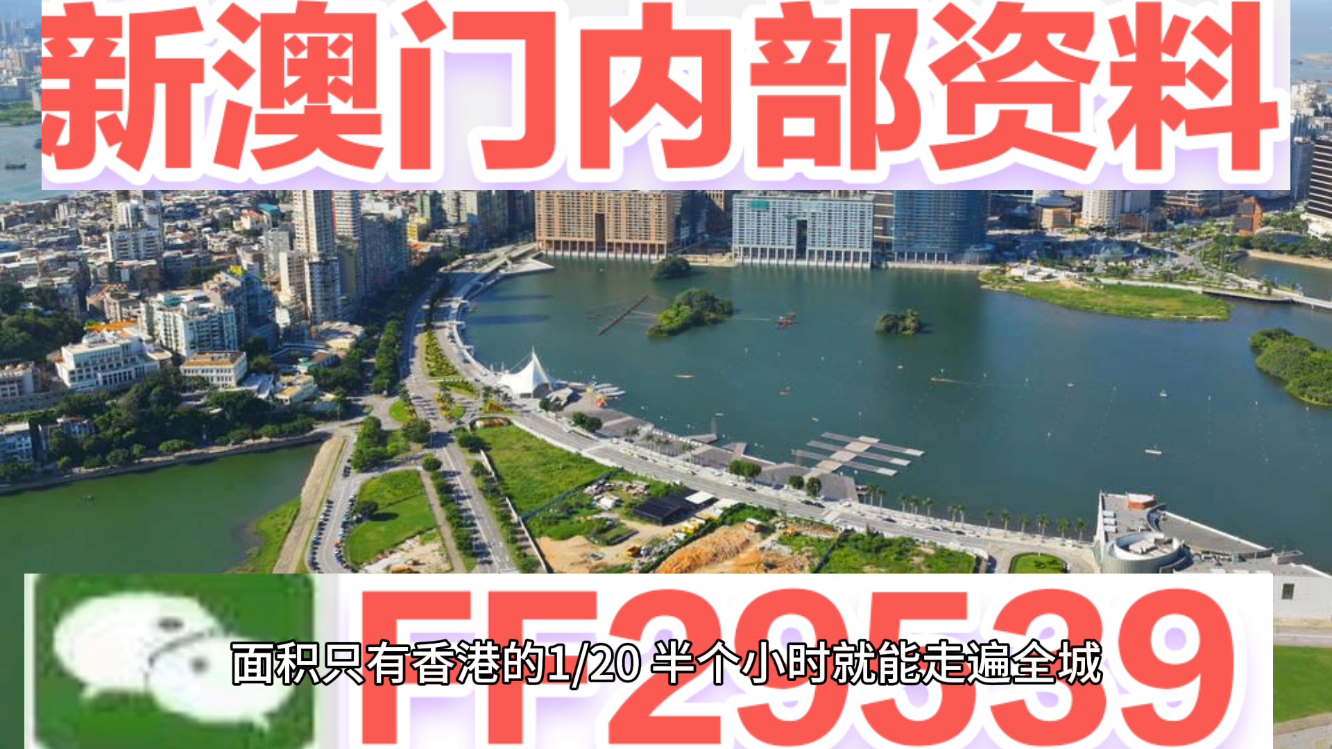 澳門特碼，探索其背后的秘密與魅力，澳門特碼背后的秘密與魅力探索
