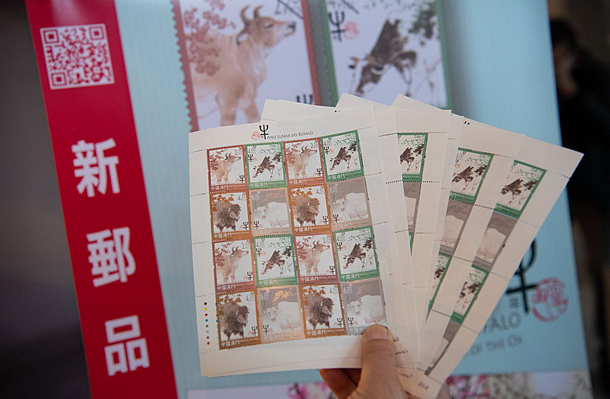 澳門值日生肖600圖庫與八百圖庫開獎(jiǎng)，探索生肖圖庫的魅力與奧秘，澳門生肖圖庫開獎(jiǎng)揭秘，探索值日生肖600圖庫與八百圖庫的魅力與奧秘