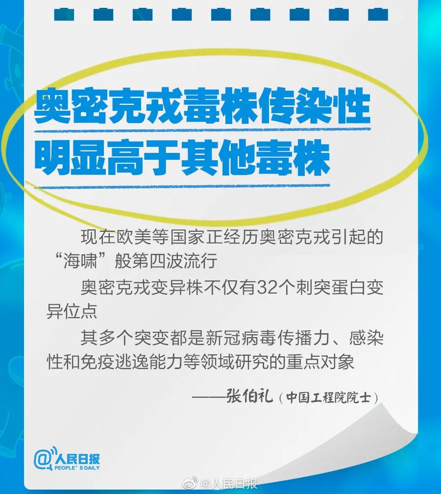 新奧2025最新資料大全，準(zhǔn)確資料全面解析，新奧2025最新資料大全，全面解析準(zhǔn)確資料一網(wǎng)打盡