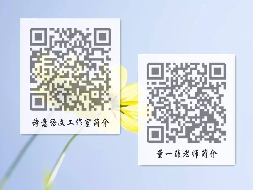 一碼一肖一特一，揭秘背后的秘密與獨特之處，揭秘一碼一肖一特一的獨特之處與背后秘密