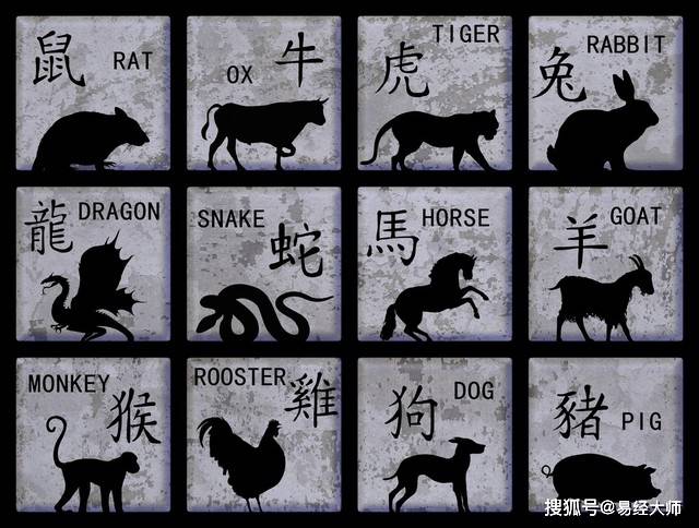 新澳特碼，羊?；⒏鲾?shù)10的獨(dú)特魅力與解析，新澳特碼，羊?；⒏鲾?shù)10的獨(dú)特魅力深度解析