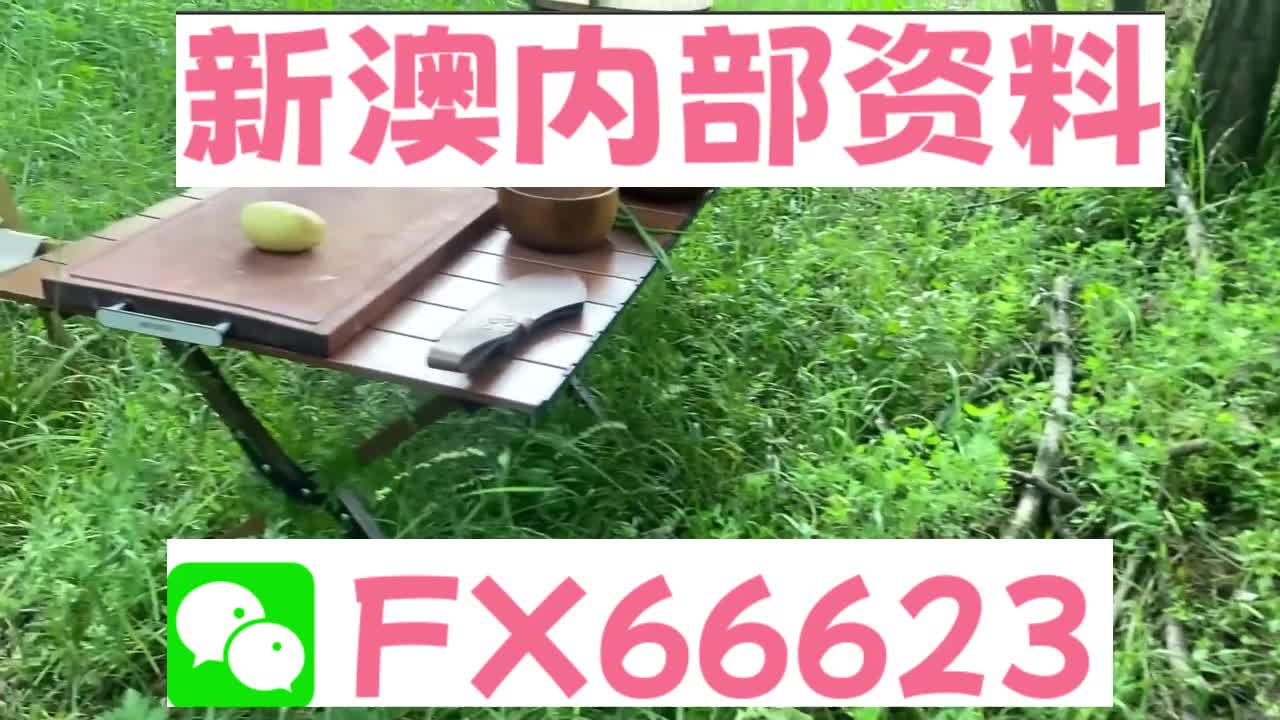 新奧特碼走勢圖解析與預測，新奧特碼走勢圖解析與預測，未來趨勢探討