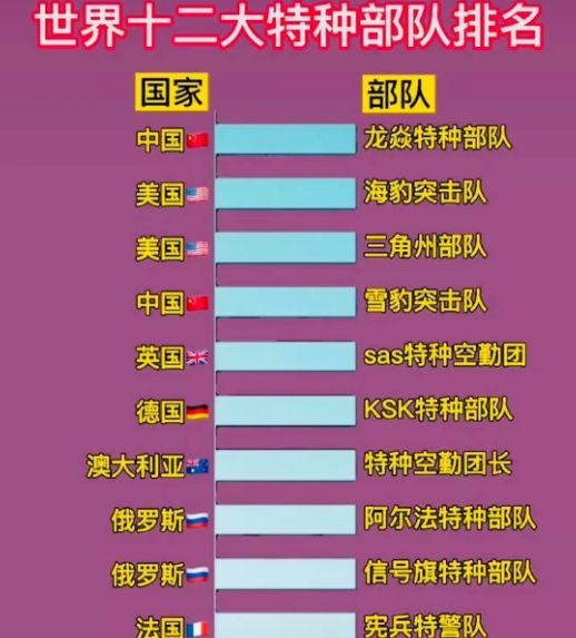 中國十大王牌特種部隊(duì)，實(shí)力與榮耀的象征，中國十大王牌特種部隊(duì)，實(shí)力與榮耀的巔峰標(biāo)志