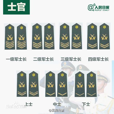 全球各國軍士長(zhǎng)軍銜對(duì)照表及其重要性，全球各國軍士長(zhǎng)軍銜對(duì)照表，揭示其重要性