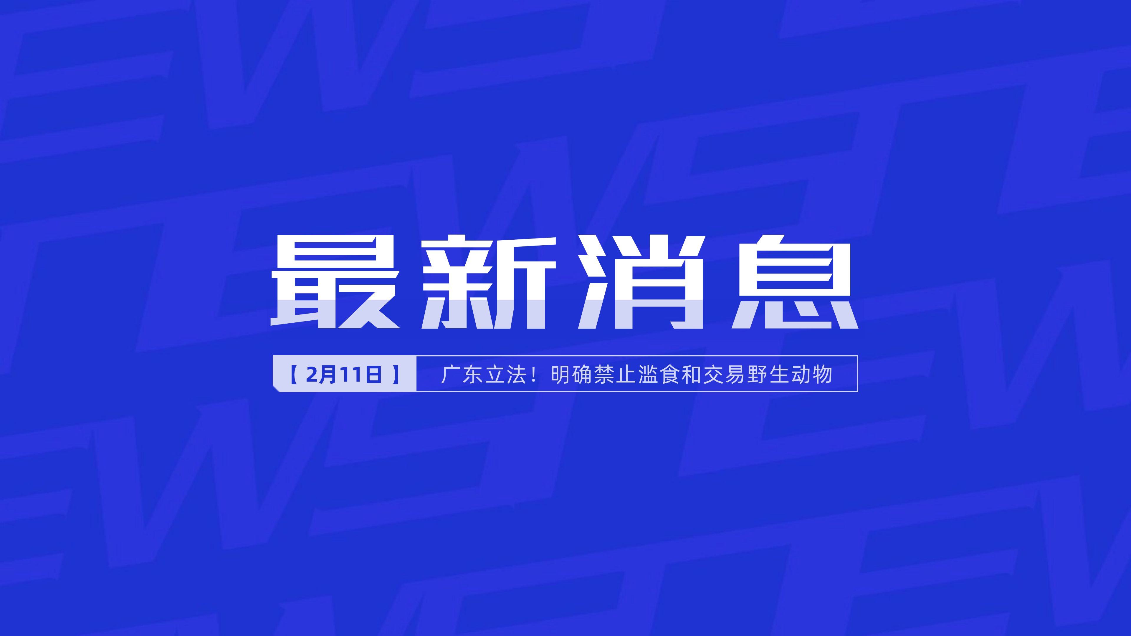 新聞最新新聞，掌握時事熱點，洞悉世界動態(tài)，時事熱點速遞，掌握全球最新動態(tài)新聞