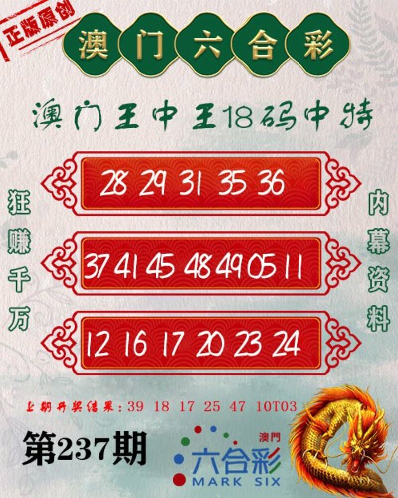 新澳門王中王期期中，探索與解析，新澳門王中王期期中，深度探索與解析