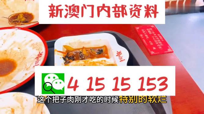澳門王中王六碼新澳門，探索與解析，澳門王中王六碼新澳門，深度探索與解析