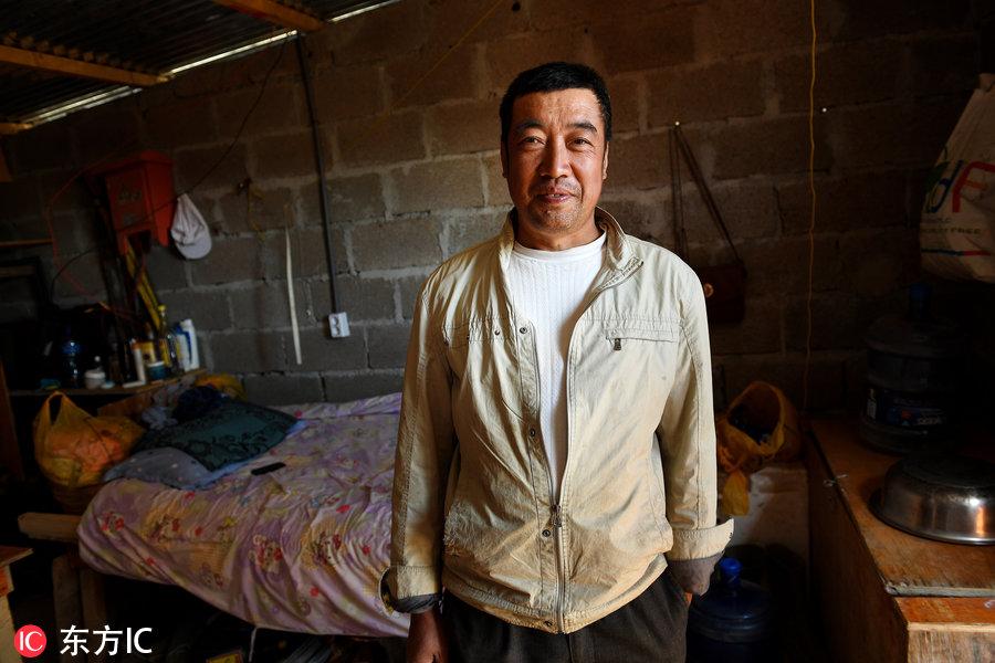 博科圣地組織，深度解析與理解，博科圣地組織深度解析與探究