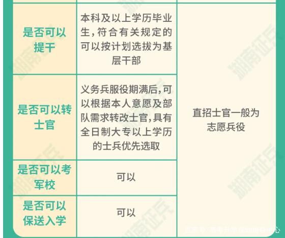 士官直招與義務(wù)兵的區(qū)別，深入了解軍隊(duì)招募制度，直招士官與義務(wù)兵招募制度深度解析，軍隊(duì)招募制度詳解