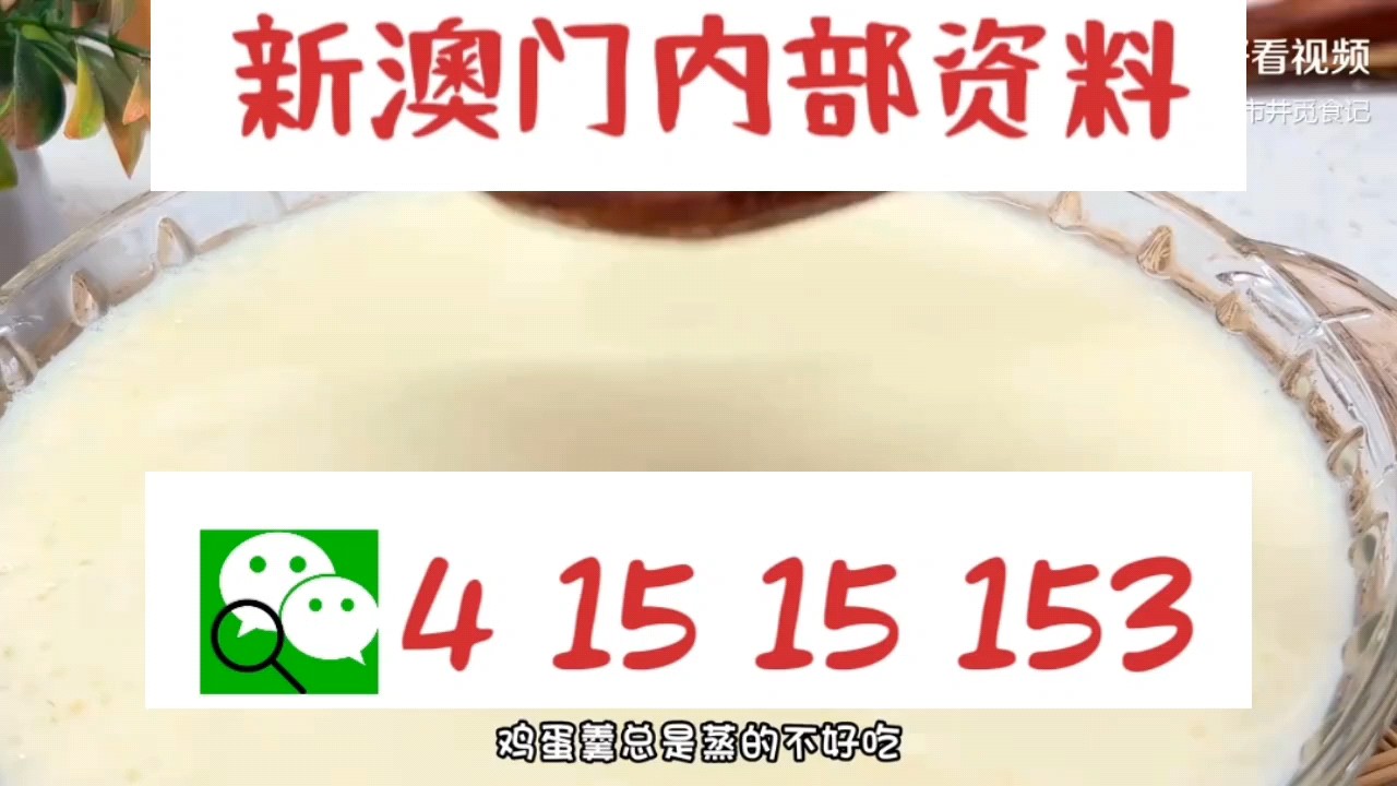 新澳門(mén)中特網(wǎng)中特馬，探索與解析，澳門(mén)中特馬探索與解析指南