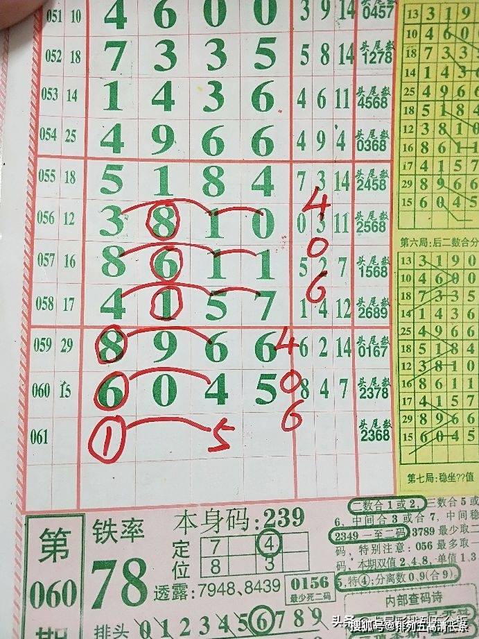 平特肖推算法，探索搜索引擎優(yōu)化的新境界，平特肖推算法，開啟搜索引擎優(yōu)化新境界的探索之旅