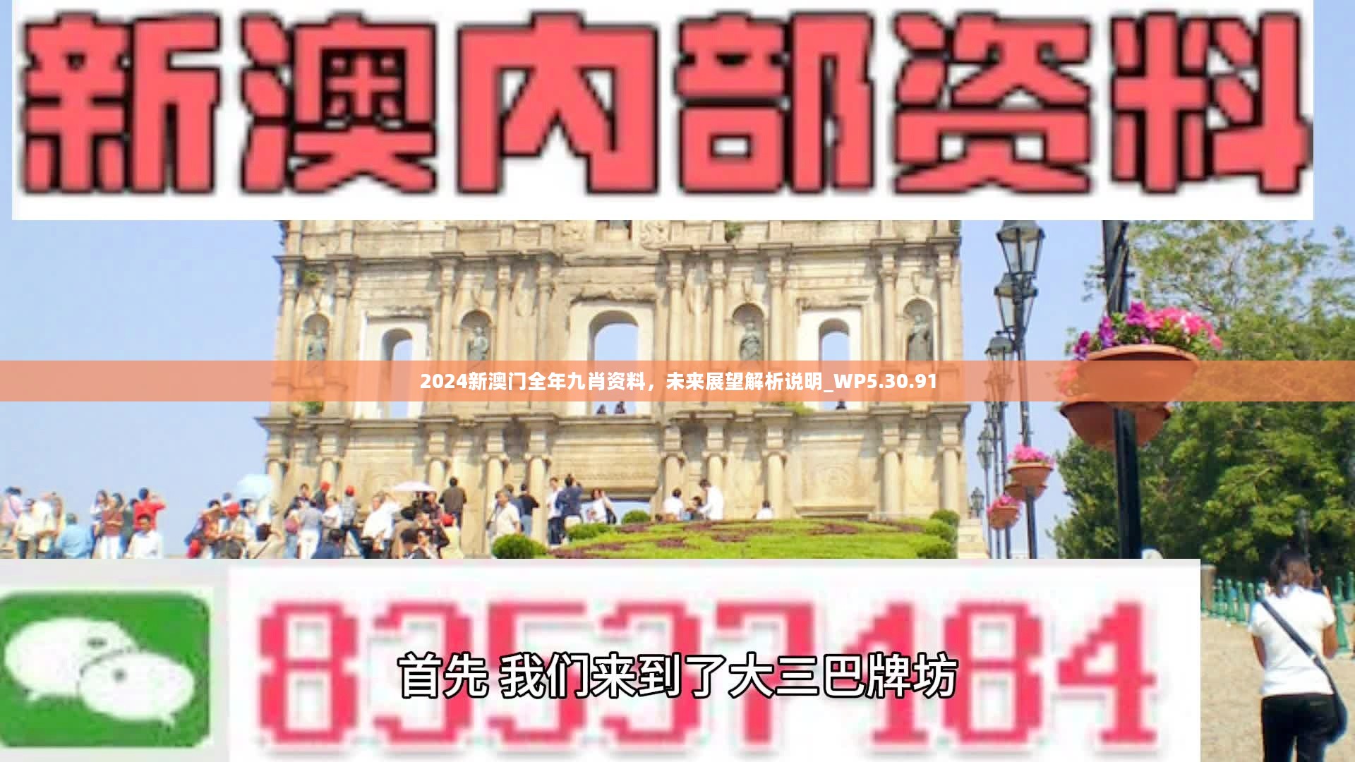 新澳門精準九肖，揭秘預(yù)測技巧與策略，揭秘新澳門精準九肖預(yù)測技巧與策略