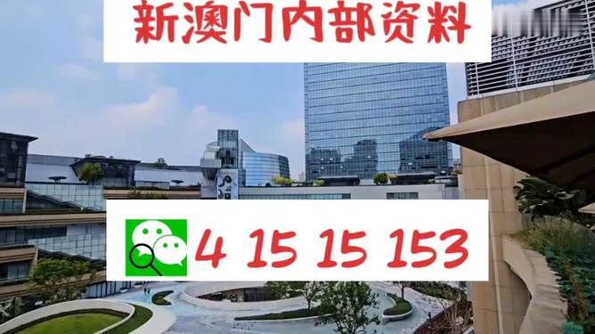 新澳門單雙，探索數(shù)字世界的奧秘與魅力，澳門數(shù)字世界的奧秘與魅力探索，單雙數(shù)的奇幻之旅