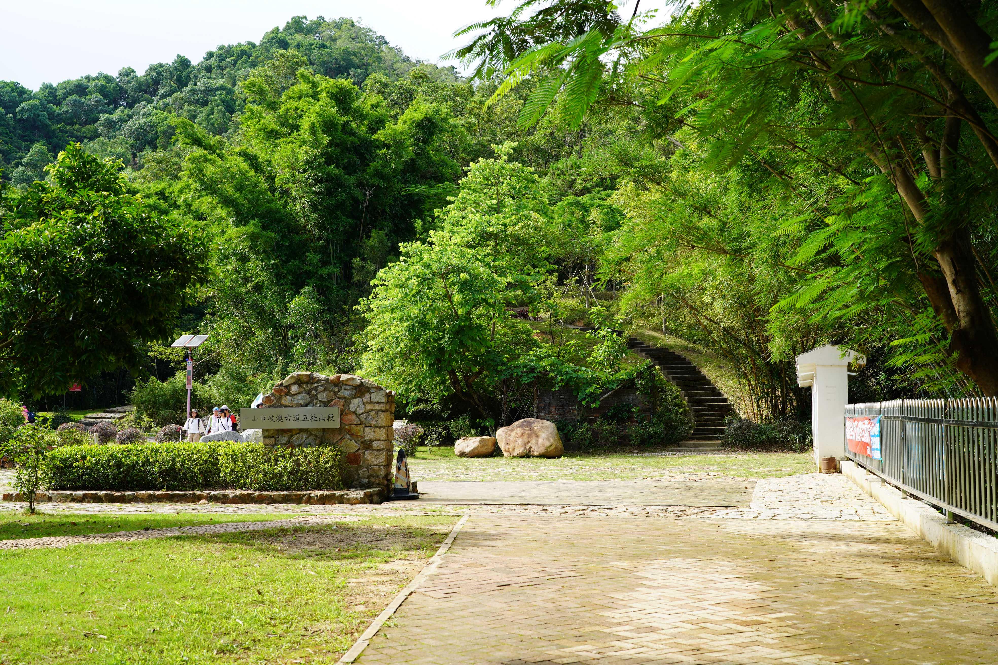 新澳門波色走勢圖表大全，深度解析與預(yù)測，澳門波色走勢圖表解析與預(yù)測大全