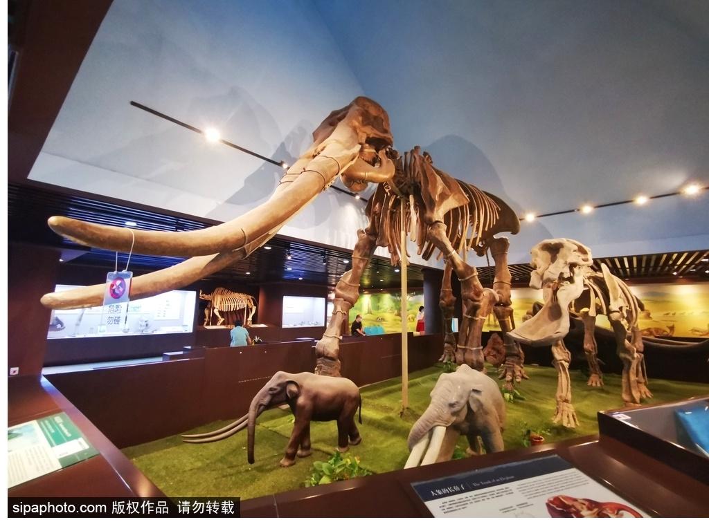 北京必去的十大博物館——探尋千年文化的精華之旅，北京必游十大博物館，千年文化精華之旅探尋記