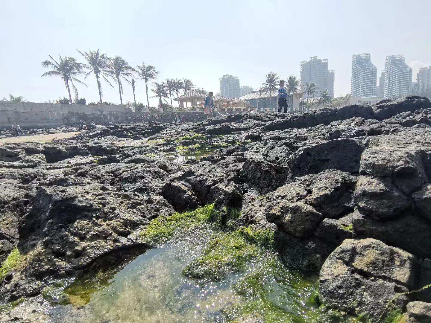 解放海南島電視劇全集下載，探尋30集完整劇情，解放海南島電視劇全集下載，探尋完整的30集劇情探索