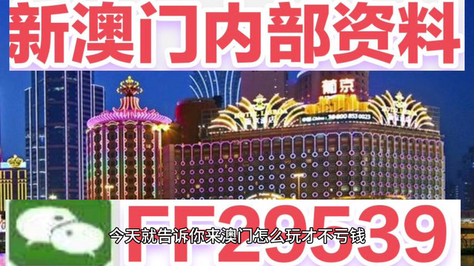 澳門今晚必開一肖——揭秘生肖彩票的魅力與策略，澳門生肖彩票揭秘，策略與魅力探索