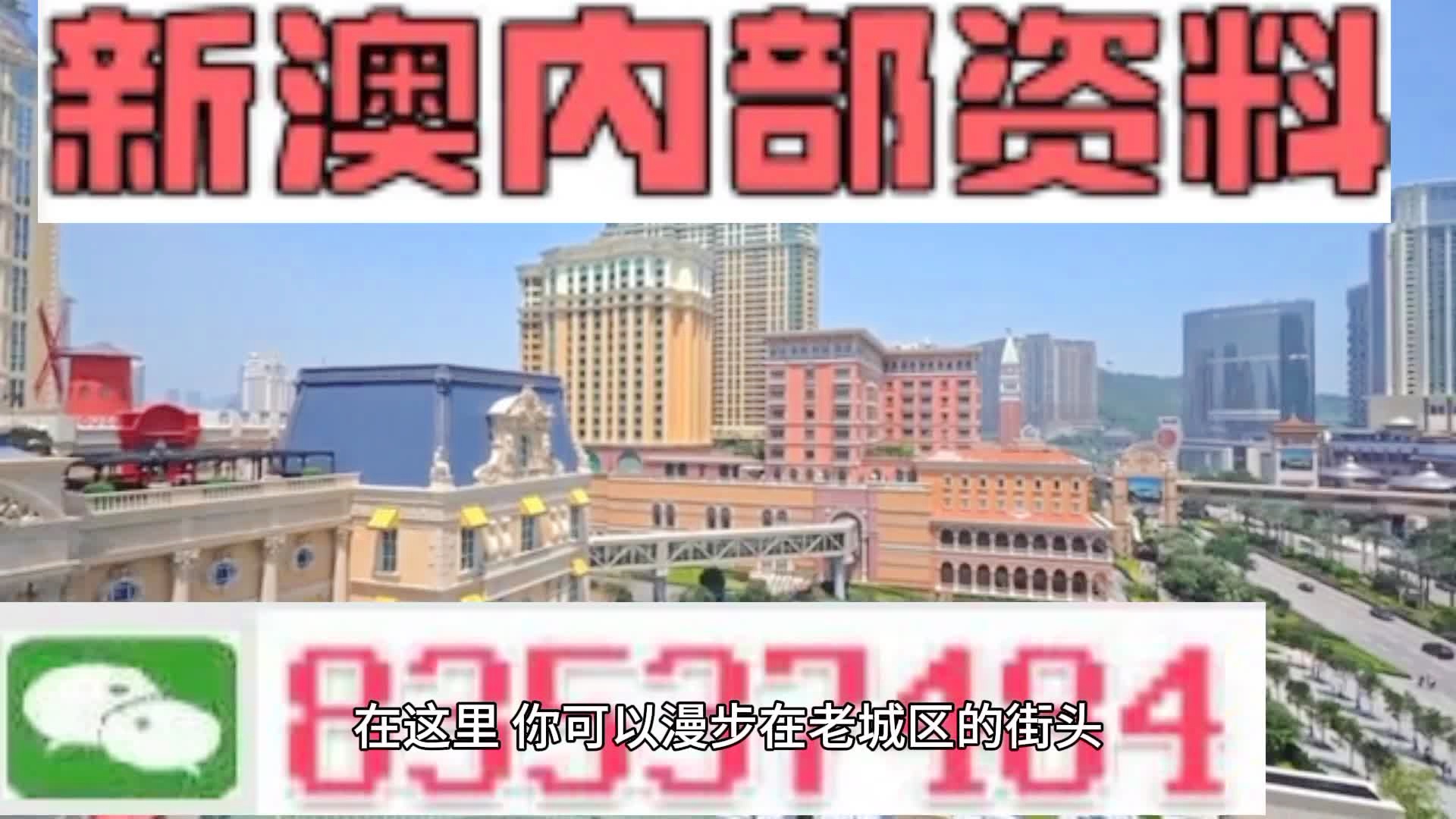 新澳門期期準精準，探索澳門的未來與SEO策略，澳門未來展望與SEO策略探索，精準瞄準新機遇