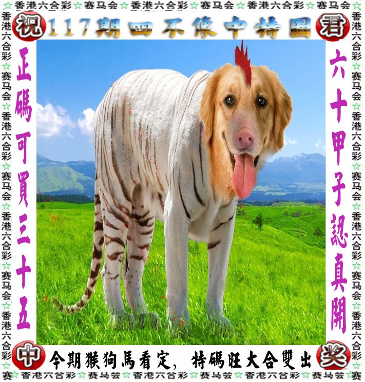 王中王四不像一肖論壇，探索神秘論壇的世界，王中王四不像一肖論壇，神秘論壇世界的探索之旅