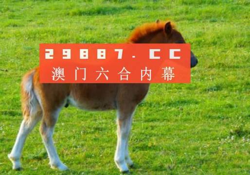 澳門答家婆一肖一馬一中一特，揭秘背后的秘密與獨特文化魅力，澳門文化魅力深度解析，答家婆一肖一馬一中一特的獨特傳統(tǒng)與秘密