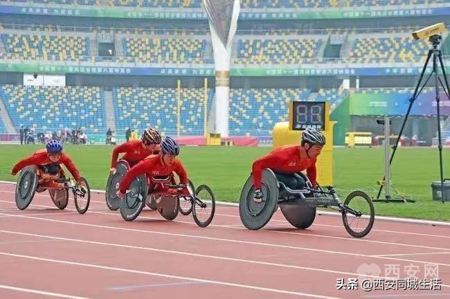 2025年澳門精準免費大全——全面解析澳門未來展望與特色體驗，澳門未來展望與特色體驗解析，澳門精準免費大全（2025版）