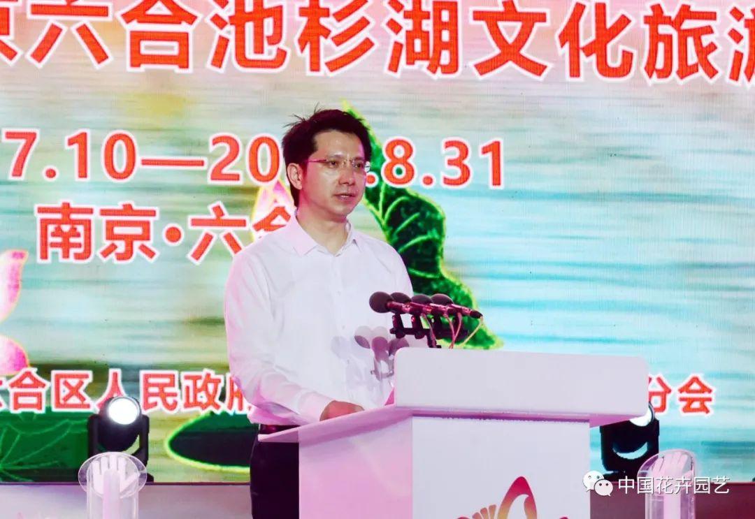 澳門六和開獎結(jié)果第54期，深度分析與預(yù)測，澳門六和開獎結(jié)果第54期深度分析與預(yù)測報告