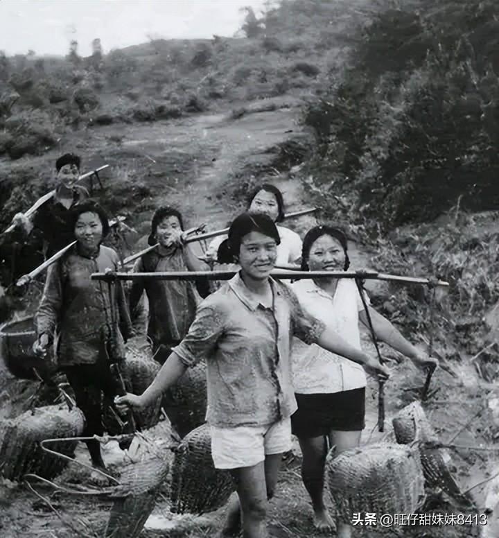 關(guān)于49圖庫圖片資料的專業(yè)解析與探索，49圖庫圖片資料深度解析與探索