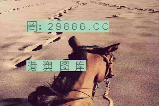 深度解析與探索（或“第24期探索之旅”）