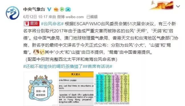 新澳門必中三肖三碼三期必開劉伯，揭秘彩票背后的秘密與策略，揭秘彩票背后的秘密與策略，劉伯的新澳門三期必開三肖三碼預(yù)測技巧
