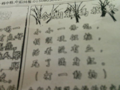 劉伯溫特一肖王中王，傳奇人物與生肖之王的神秘結(jié)合，劉伯溫生肖傳奇，傳奇人物與生肖之王的神秘交融