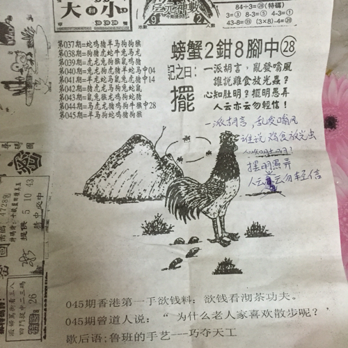 揭秘林中的高手王中王猜一肖的奧秘，揭秘林中之王王中王與生肖奧秘探秘