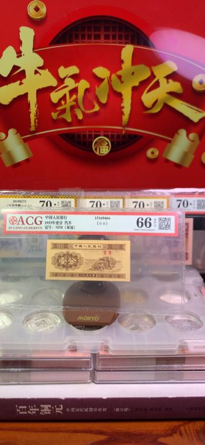 當頭棒喝王中王，揭秘生肖背后的神秘力量，揭秘生肖背后的神秘力量，王中王的當頭棒喝