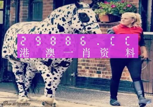 香港網(wǎng)址王中王一肖中特，探索與解析，香港網(wǎng)址王中王一肖中特，深度探索與解析