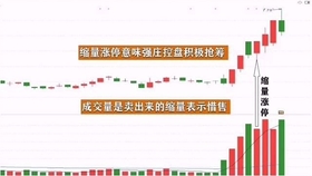 王中王一肖平碼，揭秘背后的故事與SEO策略，王中王一肖平碼背后的故事與SEO策略揭秘